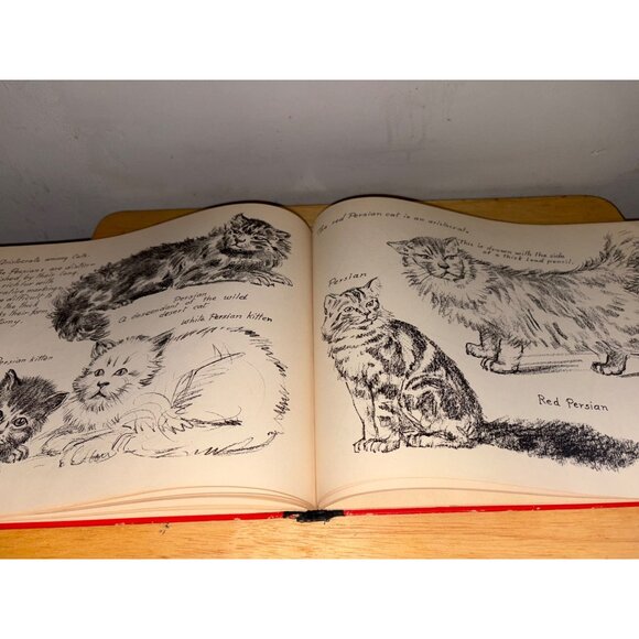 Vintage How To Draw By Victor Perard Hardcover Art Instruction Book Tutorial - Picture 16 of 16